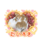 うさカフェりび〜全員集合④〜（個別スタンプ：5）