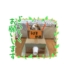 うさカフェりび〜全員集合④〜（個別スタンプ：8）