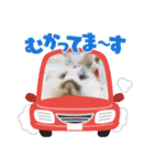 うさカフェりび〜全員集合④〜（個別スタンプ：12）