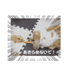 うさカフェりび〜全員集合④〜（個別スタンプ：17）