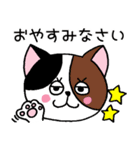 【スタンプの日】ねこまみれ日常会話（個別スタンプ：28）