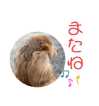 ダンク スタンプ③（個別スタンプ：4）