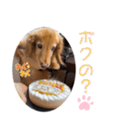ダンク スタンプ③（個別スタンプ：18）