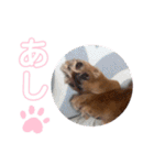 ダンク スタンプ③（個別スタンプ：22）