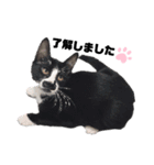 白黒族①（個別スタンプ：3）