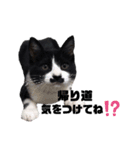 白黒族①（個別スタンプ：10）