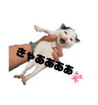 白黒族①（個別スタンプ：14）
