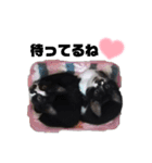 白黒族①（個別スタンプ：25）