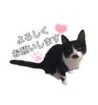 白黒族①（個別スタンプ：31）