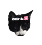 白黒族①（個別スタンプ：32）