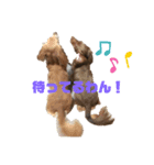らぶぞぅc（個別スタンプ：3）