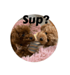 ティーカップヌードル英語ver.（個別スタンプ：5）