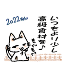 占い猫さん（個別スタンプ：14）