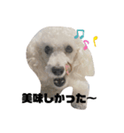 愛犬ぷぅ君の日常2（個別スタンプ：4）