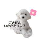 愛犬ぷぅ君の日常2（個別スタンプ：6）