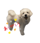愛犬ぷぅ君の日常2（個別スタンプ：7）