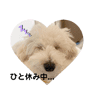 愛犬ぷぅ君の日常2（個別スタンプ：10）