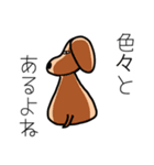 ちょっと生意気な犬（個別スタンプ：31）