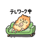 ★★★かっこかわいいネコ（個別スタンプ：1）