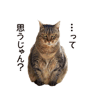 よーやが居る生活（個別スタンプ：4）