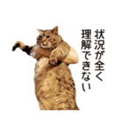 よーやが居る生活（個別スタンプ：6）