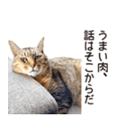 よーやが居る生活（個別スタンプ：9）