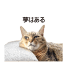 よーやが居る生活（個別スタンプ：10）