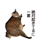 よーやが居る生活（個別スタンプ：13）