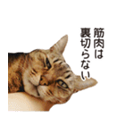 よーやが居る生活（個別スタンプ：26）
