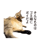 よーやが居る生活（個別スタンプ：27）