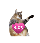 よーやが居る生活（個別スタンプ：32）