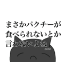 パクチーねこ(お名前)（個別スタンプ：17）