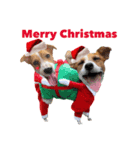 テリナラのクリスマス＆お正月（個別スタンプ：1）