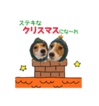 テリナラのクリスマス＆お正月（個別スタンプ：2）