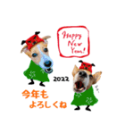 テリナラのクリスマス＆お正月（個別スタンプ：3）