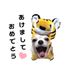 かわいいキキとララスタンプ（個別スタンプ：14）