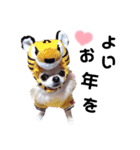 かわいいキキとララスタンプ（個別スタンプ：15）