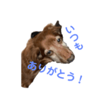 らぶぞぅd（個別スタンプ：4）