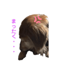 らぶぞぅd（個別スタンプ：5）