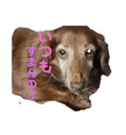 らぶぞぅd（個別スタンプ：8）