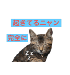 マサオとカズオの日常（個別スタンプ：1）
