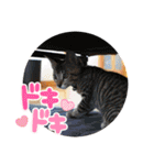 マサオとカズオの日常（個別スタンプ：5）