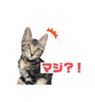 マサオとカズオの日常（個別スタンプ：7）