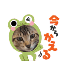マサオとカズオの日常（個別スタンプ：14）