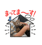 マサオとカズオの日常（個別スタンプ：16）