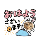マサオとカズオの日常（個別スタンプ：17）