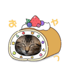 マサオとカズオの日常（個別スタンプ：19）