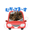 マサオとカズオの日常（個別スタンプ：20）