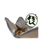 マサオとカズオの日常（個別スタンプ：24）