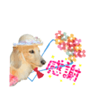 ミニチュアダックス☆も・な・か（個別スタンプ：3）